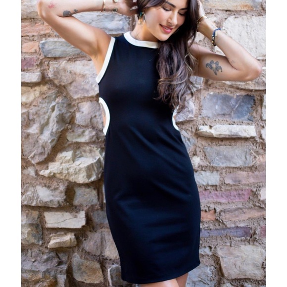 🔥 Eva Franco NWT Anthropologie 4 dress - Picture 1 of 10